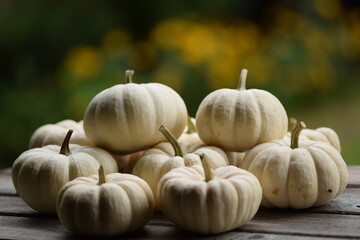 Ornamental pumpkins Baby Boo on wooden table, bokeh background with yellow blooming flowers, autumn background with pumpkins, selective focus, blurred background, space for text.