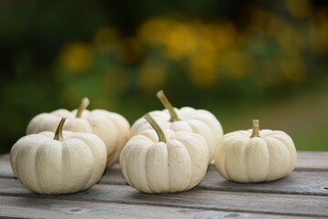 Ornamental Baby Boo pumpkins on wooden table, bokeh background with yellow blooming flowers, autumn background with pumpkins, selective focus, blurred background, space for text.