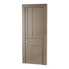 A door with a silver handle and a silver knob