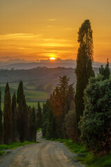 Scenic Tuscan countryside road lined with trees at sunset, golden sky creating peaceful and serene atmosphere over rolling hills with distant horizon.