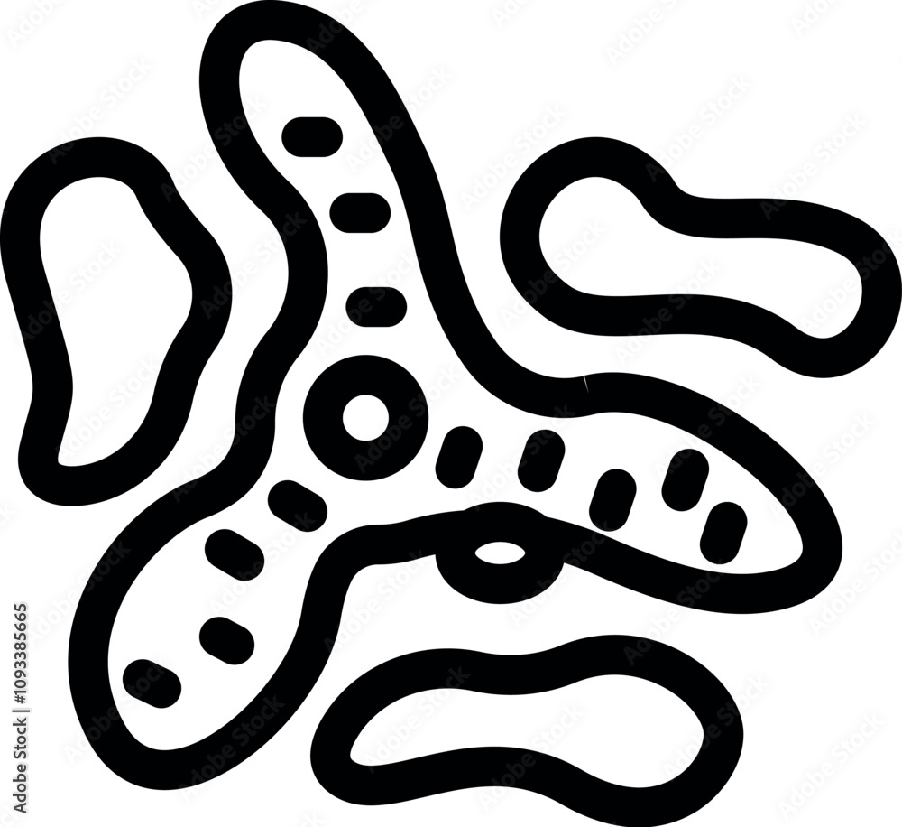 Poster simple line drawing of an amoeba proteus undergoing binary fission, a type of asexual reproduction