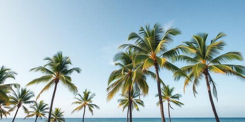 Fototapeta premium Palm trees sway gently in the ocean breeze, exotic flowers, sunny sky, palm trees
