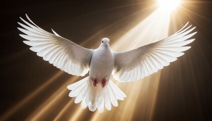 Fototapeta premium illustration of a white dove flying free with delicate rays of light behind it