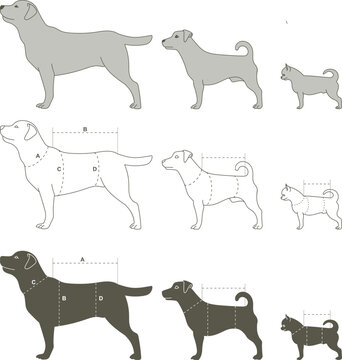 Various dog measurements for Size chart for Giant, medium and small breeds.