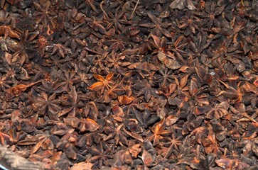 An abundance of Anise star at a spice shop in downtown market.