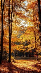 Fototapeta premium Sunlight filters through vibrant golden foliage in a tranquil autumn forest, illuminating a winding path that beckons exploration amidst the seasonal splendor.