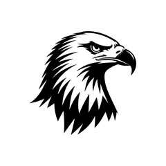 Fototapeta premium Black and white vector illustration of an eagle’s head.