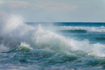 Ocean Paradise with Palm Trees Waves and Breathtaking Beauty for Ultimate Life Enjoyment and Unmatched Serenity