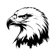 Black and white vector illustration of an eagle’s head.