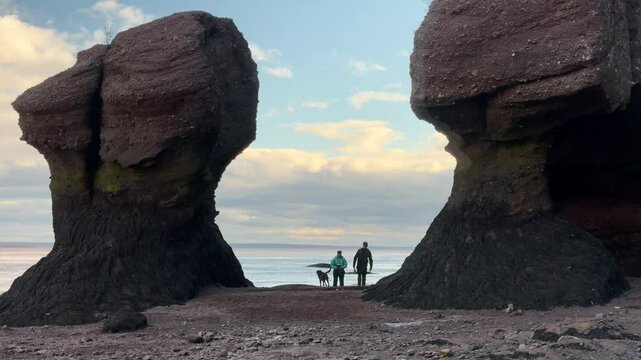 People with a dog in Hopewell Rocks Park in New Brunswick, Canada. Time lapse, beautiful sunset, blue sky. National Park of Canada.