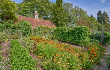 Large English vegetable garden on a sunny summer day