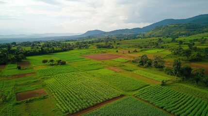 Fototapeta premium Aerial view of vibrant green agricultural fields illustrating effective farming techniques amidst rolling hills and a clear sky.