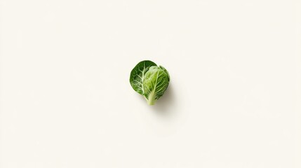 Minimalistic digital artwork of a solitary Brussels sprout with clean lines and flat colors set against a stark white background, emphasizing elegance and simplicity.
