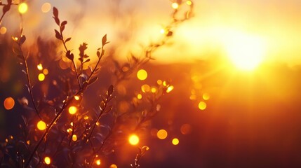 Soft-focus sunset with vibrant bokeh lights and decorative yellow string lights illuminating delicate foliage against a warm, glowing background.