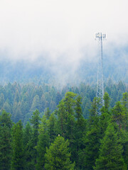 Cell Phone Tower Radio Antenna For Communication Misty Pine Forest Mountains