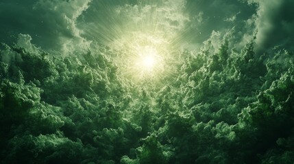 Fototapeta premium A Mystical Forest Canopy Illuminated by Divine Light