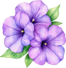 A vibrant bouquet of purple petunias with green leaves on a white isolated background.