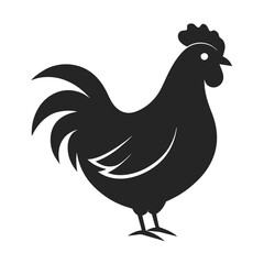 rooster isolated on white