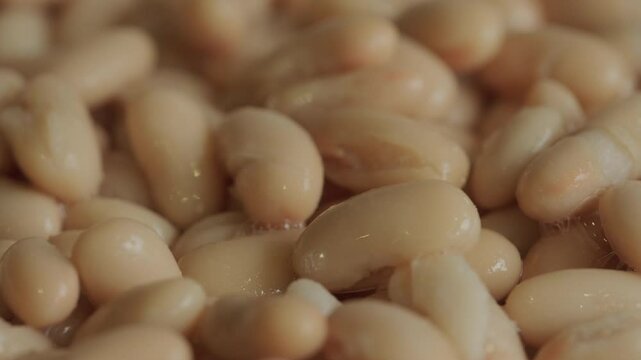 White cannellini beans background rotating macro.