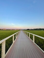 Fototapeta premium Nature Walk