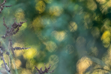 png transparent, pour usage graphique, en forme de billes de bokeh artistique, travaillées de couleurs automnales et variées, pour arrière plan artistique, et usage de fête