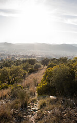 Golden hour Collserola Barcelona grass meadow as the sun is setting over the mountains