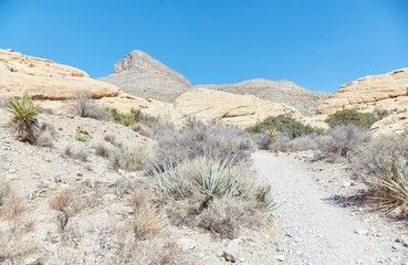 Hiking Through Nevada's Red Rock Canyon