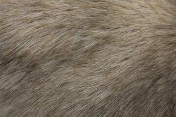 fur texture background