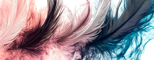 Fototapeta premium Delicate pastel watercolor feathers in shades of soft pink, lavender, and pale blue, flowing gently across the composition. The feathers appear to be drifting in a dreamlike fashion, with smooth trans