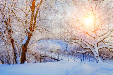 Winter park landscape in warm tones, winter frosty trees and old snowy bridge in the winter park in cold early January morning