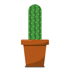 a long straight cactus with spines in an orange clay pot