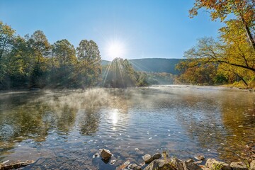 autumn in the forest