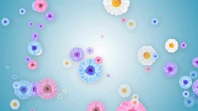 Floral background with lot of colorful flowers spring Blossom coming outside background. Greeting card for holiday, easter, wedding, birthday, Mother's Day, international women's day. 4k multicolor