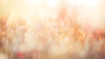 Fototapeta premium Soft Focus Image Of Autumnal Grass Blades