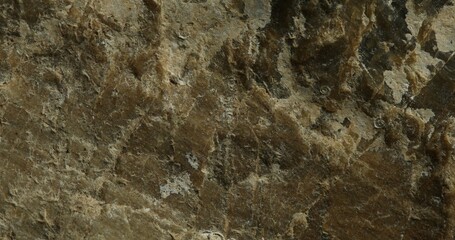 Textured Stone Surface with Natural Mineral Layers