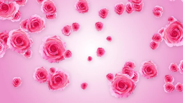 Beautiful spring summer floral background with pink rose flower moving 3D animation. Used for romantic nature, valentines day, floral-themed projects, wedding anniversary, ceremony events, festivals