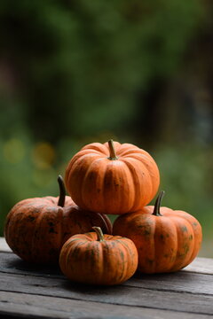 Ornamental pumpkins Sweetie Pie on wooden table, bokeh background with yellow blooming flowers, autumn background with pumpkins, selective focus, blurred background, space for text.
