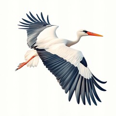 Obraz premium Majestic White Stork in Flight with Outstretched Wings Showcasing Stunning Feather Patterns Against a Clean Background