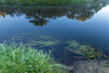A body of water with a reflection of trees in the water