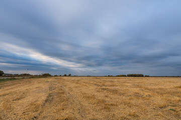 Fototapeta premium A field of dry grass with a cloudy sky in the background