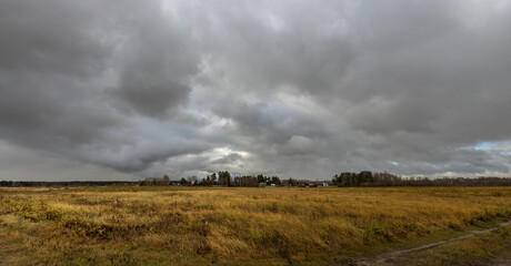 A field of grass is shown with a cloudy sky in the background