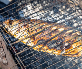 Fish is being cooked on a grill with charcoal