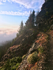 Hiking trail in the Pacific Northwest on a cliff