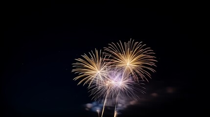 Three Fireworks Explode Against Night Sky