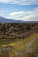 Solidified magma along the road 5