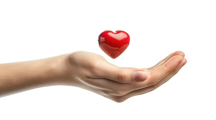 Fototapeta premium heart in hands