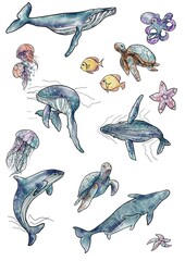 set of watercolor illustrations of marine life whales, orca, jellyfish, turtle, dolphin, octopus, starfish. For the design of postcards, articles, websites for Ocean Day,