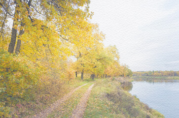 Road runs through a forest with trees that are yellow and brown