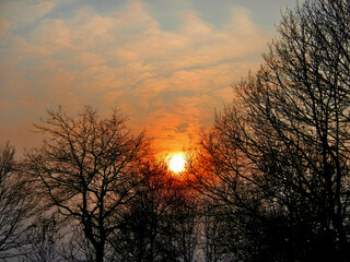 Obraz premium Black branches, sun low above trees, misty horizon in winter time and colorful sky with clouds - evening composition in abstract orange and yellow colors and grey fog.