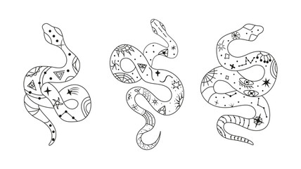 Obraz premium Mystical esoteric snakes illustrated in a clean linear style. The design features symbolic and abstract representations of snakes, perfect for spiritual, occult, or decorative projects.